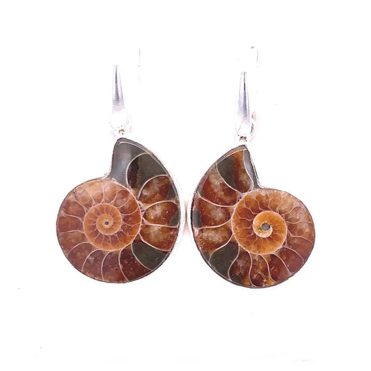 Ammonite Sterling Silver Earrings - Kirsten Katz