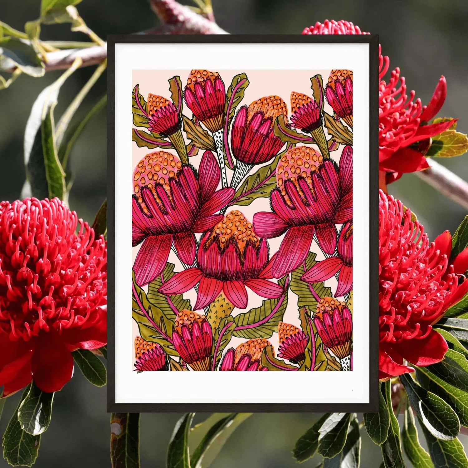 waratah flowers watercolour painting by Kirsten  Katz