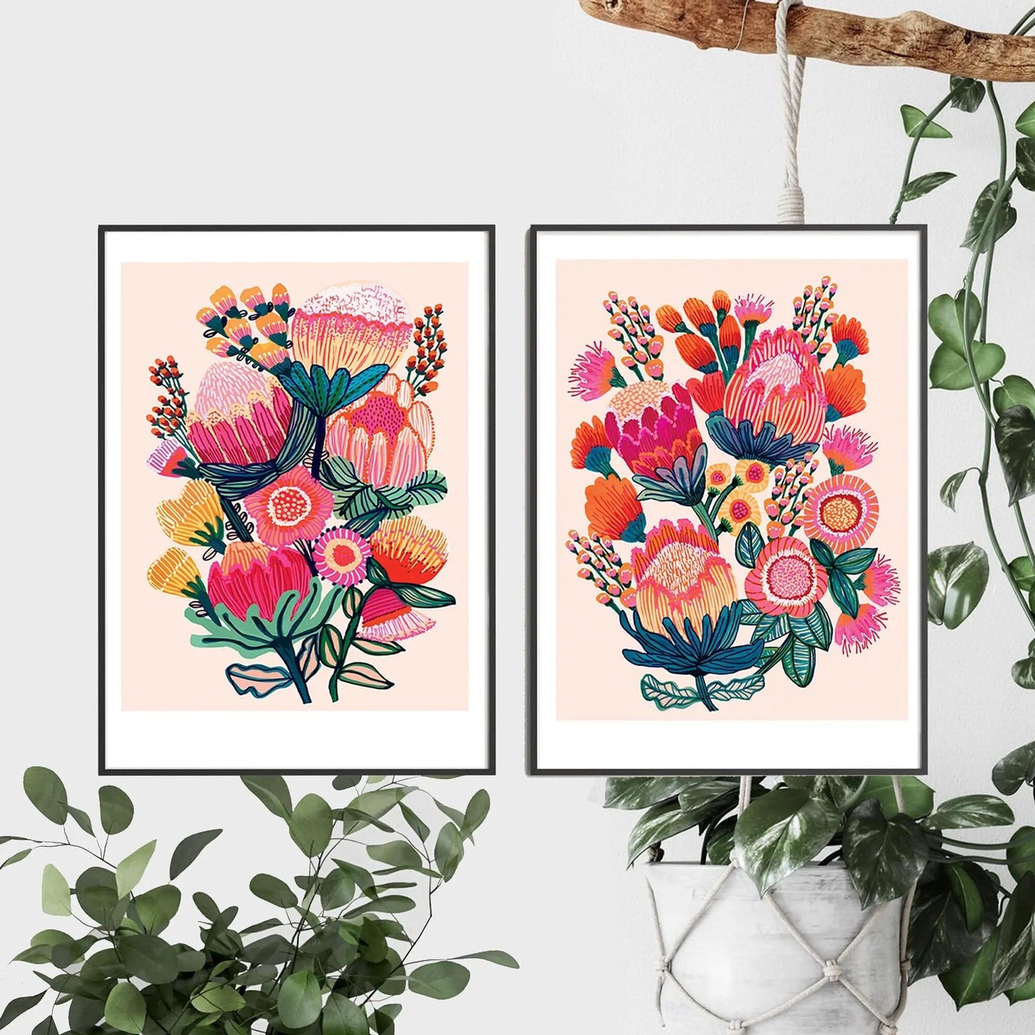 Bouquet of Oz and Bush Bounty print set by Kirsten Katz — two bright native bouquets of proteas and banksias